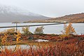 Hamseviken i Breiddalsvatnet på Strynefjellet