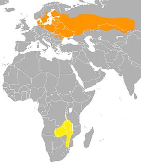   lisääntymisalue   talvehtimisalue