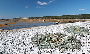 Quarry island Mingan 2.jpg