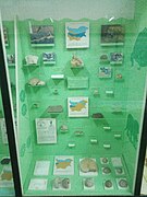 The Upper Cretaceous at the National Museum of Natural History, Bulgaria.jpg