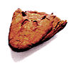 The skull of Tiktaalik.