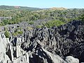 Цинги-де-Бемараха — Мадагаскарҙағы ҡурсаулыҡ