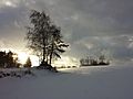 Bei Griesbach im Waldviertel