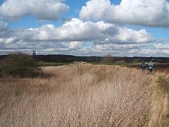 Walking on the Trent Valley Way - geograph.org.uk - 1191930.jpg