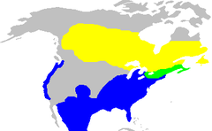 Mapa występowania