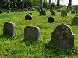 Čeština: Náhrobky na židovském hřbitově u vsi Olšany v okrese Jindřichův Hradec, Jihočeský kraj. English: Gravestones in the Jewish cemetery by the village of Olšany, Jindřichův Hradec District, South Bohemian Region, Czech Republic.