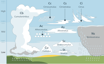 A diagram showing clouds at various heights