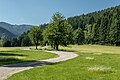 * Nomination Rural way amidst meadows in Spitzwiesen, Deutsch Griffen, Carinthia, Austria --Johann Jaritz 02:10, 30 July 2017 (UTC) * Promotion Good quality. PumpkinSky 02:13, 30 July 2017 (UTC)