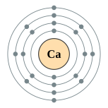 钙个电子层（2, 8, 8, 2）