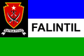 Flagge der F-FDTL