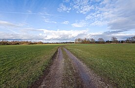 Floodplain in Vach LSG Rednitz-, Pegnitz- und Regnitztalsystem 2023-02-19 39.jpg