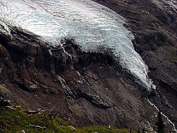 Roosevelt Glacier terminus