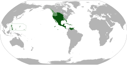 Vicereame della Nuova Spagna - Localizzazione