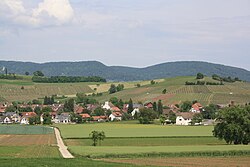 Horisonten til Oberhallau