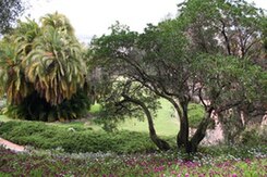 Presidio Park