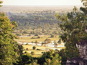 Cambodian paddy fields in Angkor