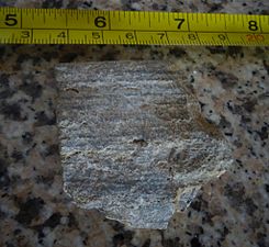 Banded shale of the Chipaque Formation Ocetá Páramo