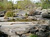 Santa Rosa Creek near site of the 1827 baptism