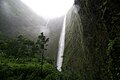 Hi'ilawe-Wasserfäll im Waipiʻo Valley