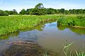 Nationaal Park De Drentsche Aa