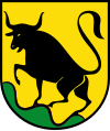 Wappen von Jochberg