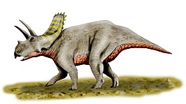 Arrhinoceratops