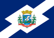 Vlag van Santiago do Sul