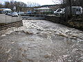 Die Ilm (Hochwasser) am Trieselsrand