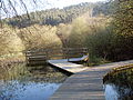 Lagoa de San Martiño.