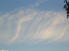 Long Cirrus fibratus.jpg