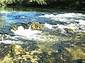 Rapids at Look and Tremble on the Chipola River, Florida.