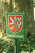 Sign of Famous tree Platan u Panského dvorka in Hrotovice, Třebíč District.jpg