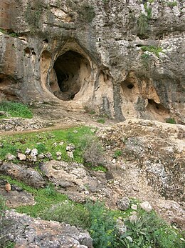 Skhul Cave.JPG