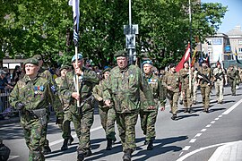 Võidupüha paraad ja maakaitsepäev Narvas, 23. juuli, autor Aivar Oja (54) (53815214403).jpg