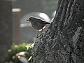 Female; Baden-Württemberg, Germany