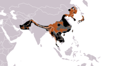 Área de distribución de U. thibetanus (marron – existente, negro – extinto, gris oscuro – presencia incierta)