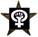 The Feminism Barnstar. for thankless work on List of feminist comic books DOCUMENT★ERROR 04:04, 23 December 2014 (UTC)