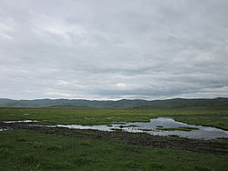 県内の草原風景