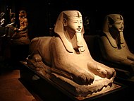 典型的埃及人頭獅身人面像，現存都靈埃及博物館