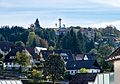 Vue des toits de maisons de la commune de Titisee-Neustadt