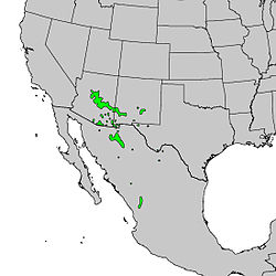 Distribución natural