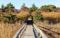 Image 73Quogue Village Wetlands Preserve