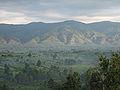 Mounts Rwenzori
