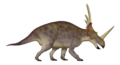 Styracosaurus