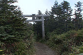 Un shiroki torii