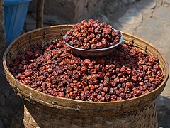 Fruits secs (Ziziphus mauritiana)