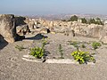 Basílica paleocristiana del Bovalar (Seròs)