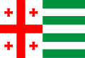 Abhazya Özerk Cumhuriyeti için önerilen bayrak
