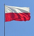 Dalgalanan Polonya bayrağı