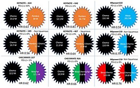 Overall survival in non-small lung cancer patients treated with modern immunotherapy in the first line for advanced or metastatic disease.jpg